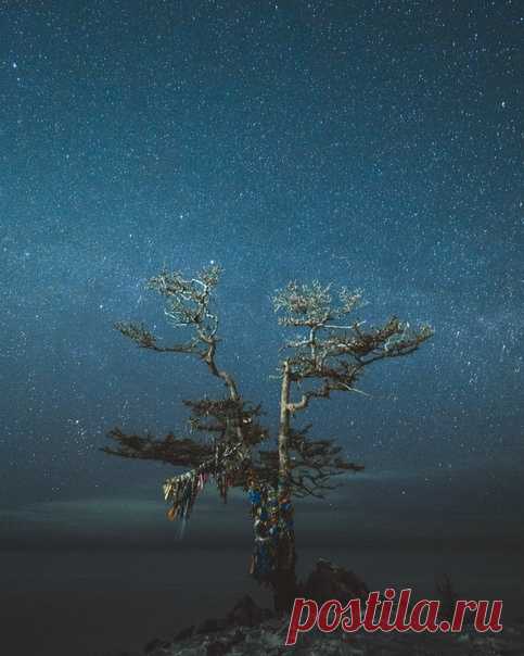 Звёздное небо над Байкалом. Фотограф – Роман Манукян: nat-geo.ru/community/user/216317/ Сказочной ночи.