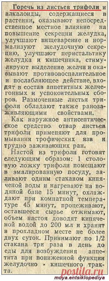 Листья вахты трехлистной (трифоли)