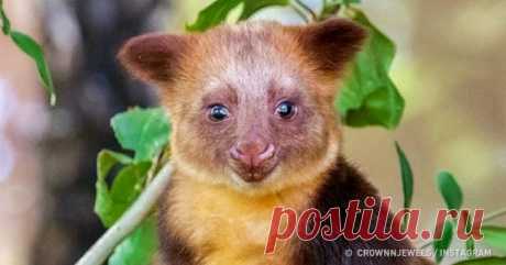 Доставайте ваш мимиметр: он уже много раз зашкаливал, пришло время ему взорваться от умиления . Милая Я