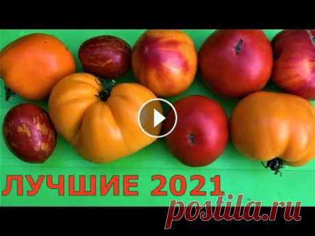 Томаты для теплицы и для открытого грунта. Подробное описание сортовПомощь каналу, карта Сбербанка - 4276 3800 7513 3459На канале: Наталья Сморчкова и...
