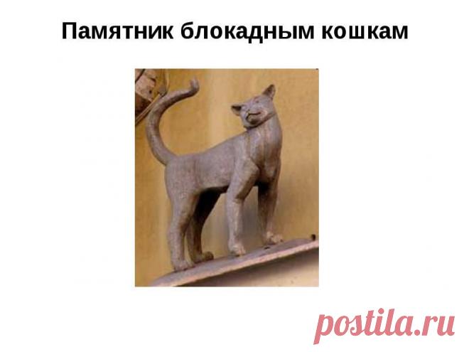 Коты и кошки блокадного Ленинграда и Эрмитажа.
В 1942-м году осажденный Ленинград одолевали крысы. Очевидцы вспоминают, что грызуны передвигались по городу огромными колониями. Когда они переходили дорогу, даже трамваи вынуждены были останавливаться. С крысами боролись: их расстреливали, давили танками, были созданы даже специальные бригады по уничтожению грызунов, но справиться с напастью не могли.