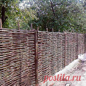 Плетень для дачи своими руками: традиции и современный дизайн - Учимся Делать Все Сами