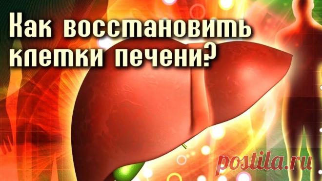 Что происходит с печенью после 60 и как её поддержать | ТОП 100 ВРАЧЕЙ | Дзен