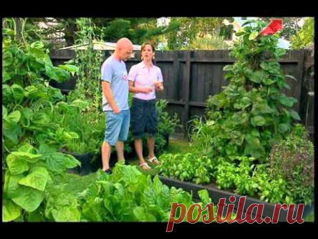 ▶ Огород без хлопот - Продажа своего урожая ( 9 серия ) - YouTube