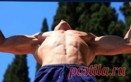 Сила мышц и мышечный тонус &amp;laquo;  Будь Здоров