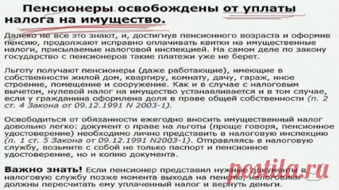 Это важно знать пенсионерам! Поделитесь с друзьями и близкими! Немного о своем опыте общения с налоговой. — Копилочка полезных советов