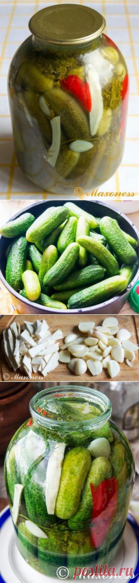 Солёные огурцы по дедушкиному рецепту .