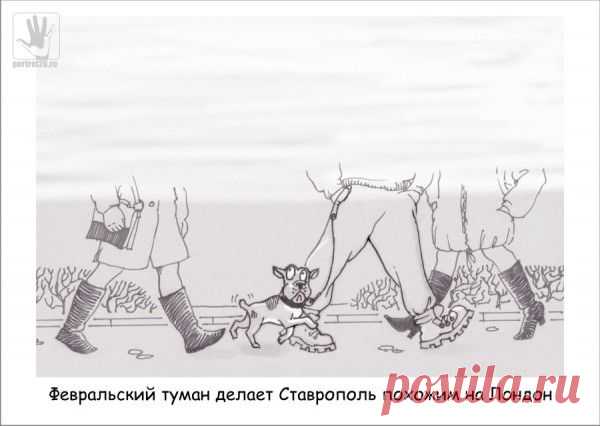 Немного ставропольских будней...