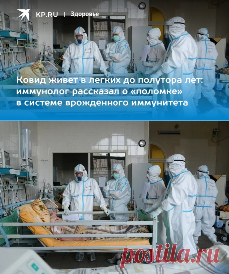 13-12-23-Ковид живет в легких до полутора лет: иммунолог рассказал о «поломке» в системе врожденного иммунитета - KP.RU