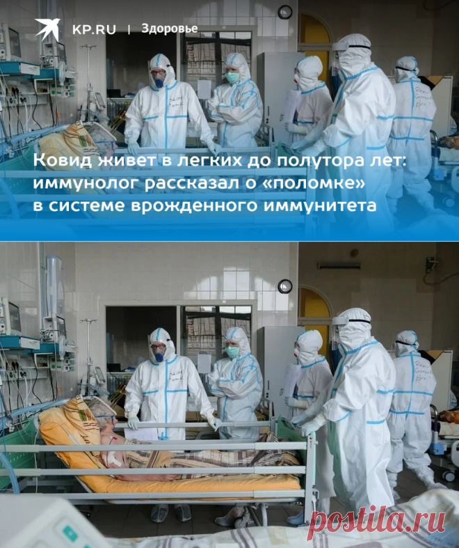 13-12-23-Ковид живет в легких до полутора лет: иммунолог рассказал о «поломке» в системе врожденного иммунитета - KP.RU