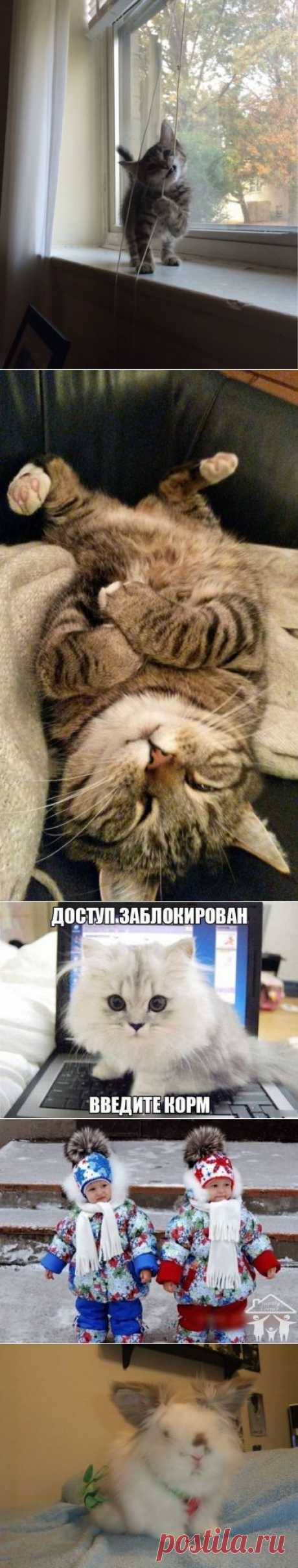 фотки.