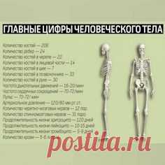 (846) Pinterest