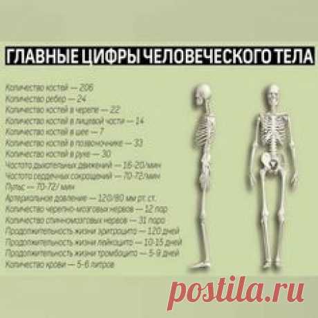 (846) Pinterest