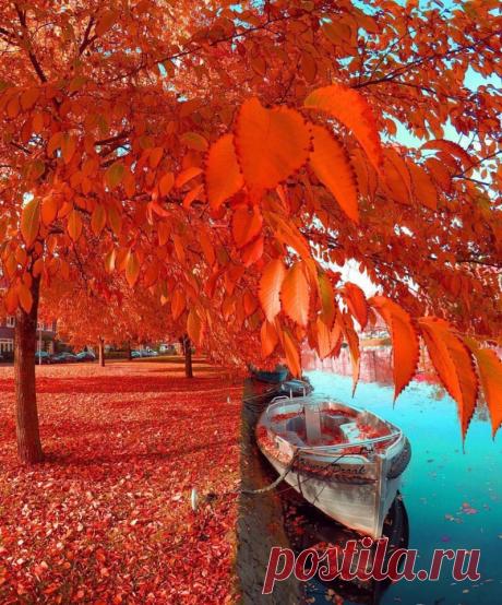 #Амстердам@discoverygroup