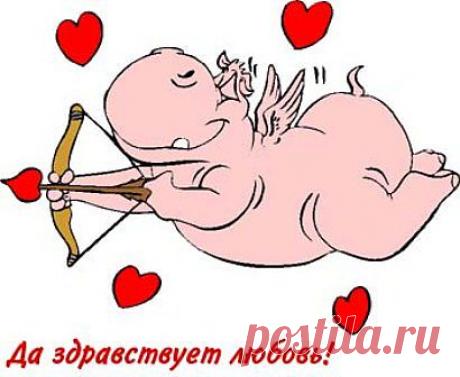 Пора влюбиться
 
 
Мотивации для похудения
Часть 1. Здоровье
 
Сейчас уже мало кто помнит поэму Е.Евтушенко «Братская ГЭС» и, тем более, героиню поэмы – влюблённую Нюшку.
«И, терпя от насмешников муку,
Только сверху я трогала суп
И крутила проклятую штуку
Под названием «хула-хуп».»