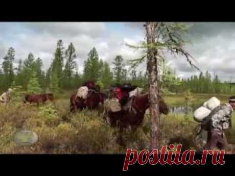 Фильм "Хлебное дерево Сибири"