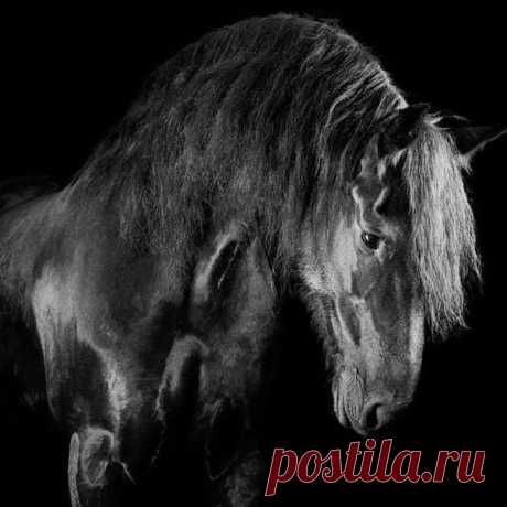Новые фотографии