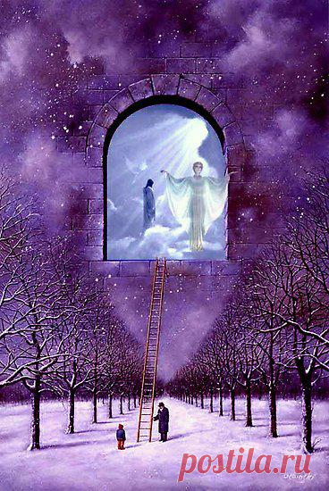 dreams