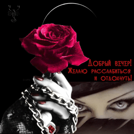 Добрый вечер! - Добрый вечер!
