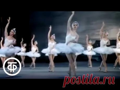Чайковский "Лебединое озеро" (1983). Большой театр / Swan Lake. Tchaikovsky. Bolshoi Theatre