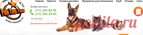 Клетка CAVIE 80 DECOR для кроликов и морских свинок Ferplast купить в Екатеринбурге. Цена в интернет зоомагазине Рин Тин Тин с доставкой.