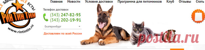 Клетка CAVIE 80 DECOR для кроликов и морских свинок Ferplast купить в Екатеринбурге. Цена в интернет зоомагазине Рин Тин Тин с доставкой.