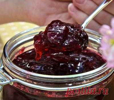 Кулинария >ВАРЕНЬЕ С ЖЕЛАТИНОМ
