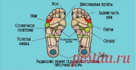 Старость начинается с ног и потом поднимается выше! Секрет молодости раскрыт. Еще древние китайцы заметили, что первыми стареть начинают ноги, а дальше уже весь организм. Ведь именно на ногах сосредоточено множество нервных окончаний и рефлекторных зон. Этим мудрецам в вопросах медицины можно довериться полностью, ведь вся современная индустрия здоровья и красоты основана на их учениях.  Мы даем тебе несколько полезных рекомендаций, которые помогут сохранить здоровье стоп,...