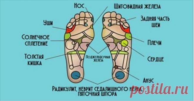 Старость начинается с ног и потом поднимается выше! Секрет молодости раскрыт. Еще древние китайцы заметили, что первыми стареть начинают ноги, а дальше уже весь организм. Ведь именно на ногах сосредоточено множество нервных окончаний и рефлекторных зон. Этим мудрецам в вопросах медицины можно довериться полностью, ведь вся современная индустрия здоровья и красоты основана на их учениях.  Мы даем тебе несколько полезных рекомендаций, которые помогут сохранить здоровье стоп,...