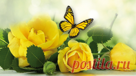 Мой Мир@Mail.Ru