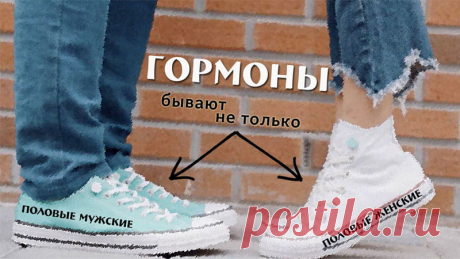 ГОРМОНЫ: ПОЧЕМУ ЭТИ ВЕЩЕСТВА ТАК ВАЖНЫ ДЛЯ НАС?
Гормоны - это сложные химические вещества, выделяемые эндокринными железами для контролирования других важных процессов в организме. Эти вещества выделяются прямо в кровь и таким образом распространяются по всему организму.