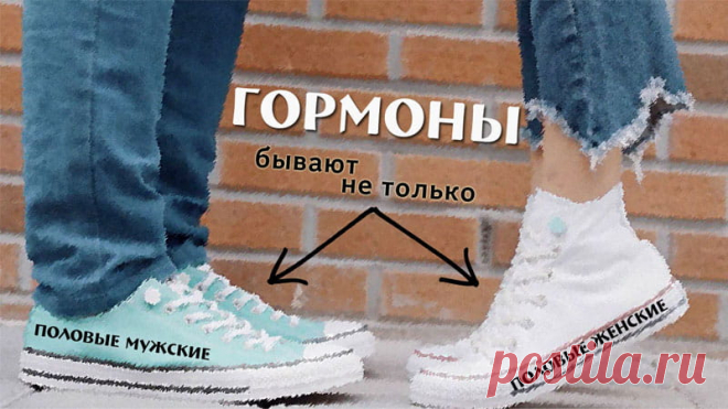 ГОРМОНЫ: ПОЧЕМУ ЭТИ ВЕЩЕСТВА ТАК ВАЖНЫ ДЛЯ НАС?
Гормоны - это сложные химические вещества, выделяемые эндокринными железами для контролирования других важных процессов в организме. Эти вещества выделяются прямо в кровь и таким образом распространяются по всему организму.