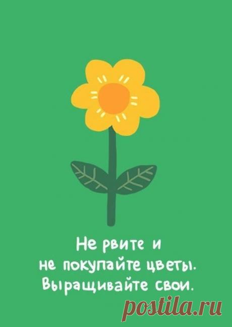 Экосоветы в картинках, или как сделать первые шаги к жизни в стиле эко