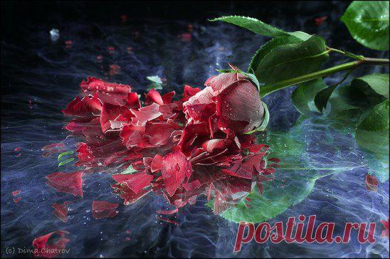 Человека можно разбить, не дотронувшись.