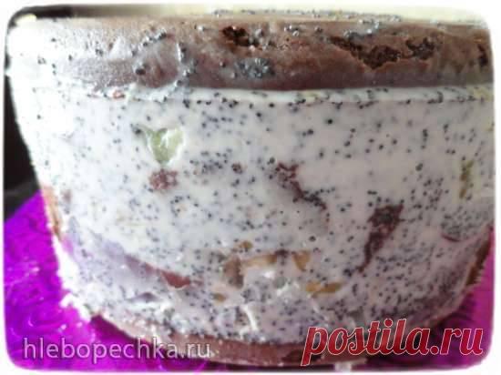 Торт «Африканская ромашка» шоколадный - ХЛЕБОПЕЧКА.РУ - рецепты, отзывы, инструкции