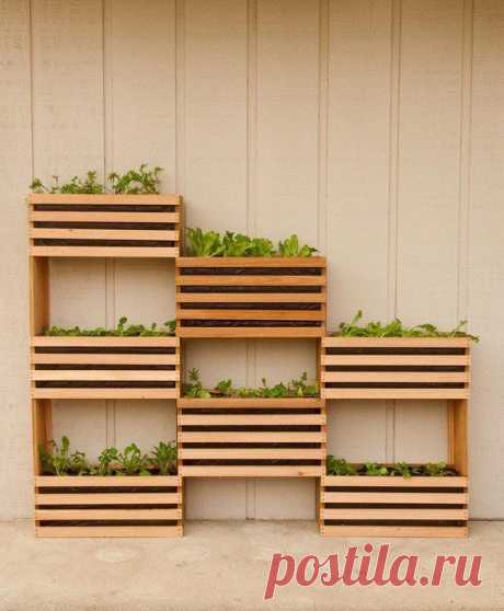 Современный, компактный вертикальный овощной сад — DIYIdeas