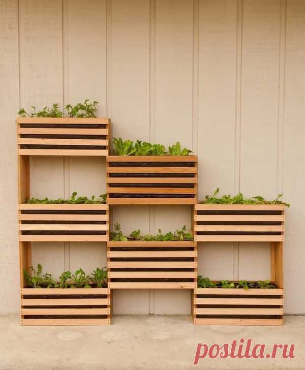 Современный, компактный вертикальный овощной сад — DIYIdeas