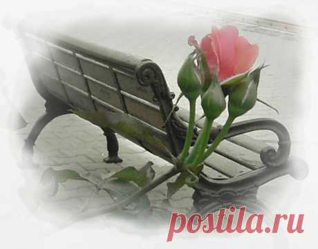 Мой Мир@Mail.ru
