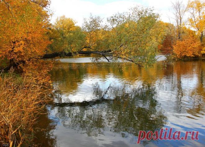 Зеркальное отражение осени в воде! Буйство осенних красок над зеркалом озер! - Блог Три и ночка