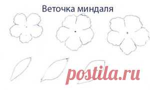 Цветущая веточка миндаля |Горячие кружева. Гильоширование или выжигание по ткани