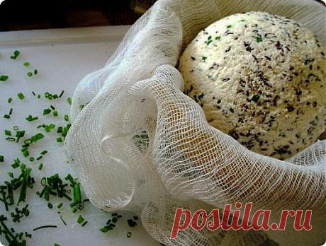 Как приготовить твердый домашний сыр с пряностями? - Женский журнал LadySpecial.ru