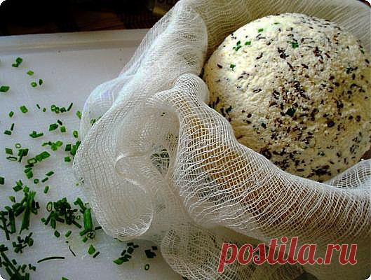 Как приготовить твердый домашний сыр с пряностями? - Женский журнал LadySpecial.ru