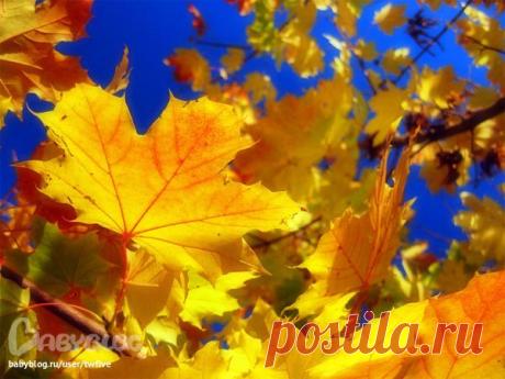e824b45df6a79518800e1442329e824e.jpg (600×450)