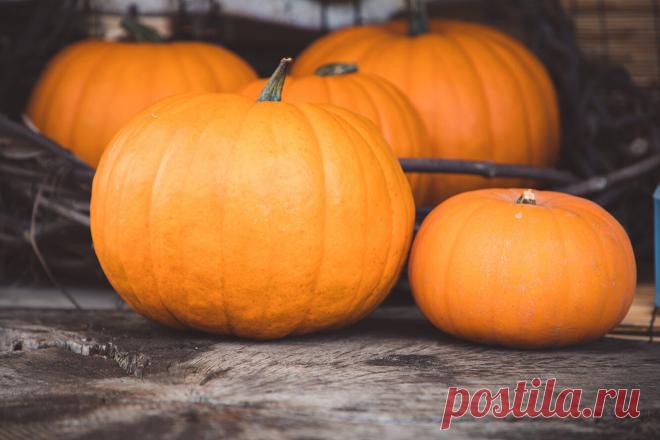 Чем полезна тыква?