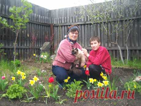 МОЙ НОВЫЙ САД