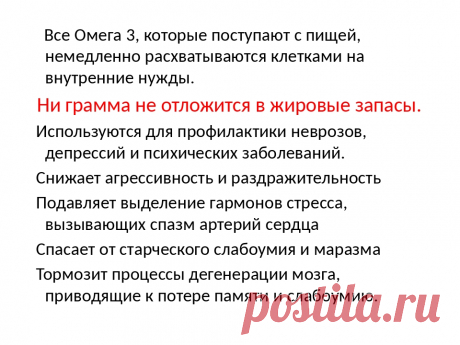 Команда bmd21 Life Style