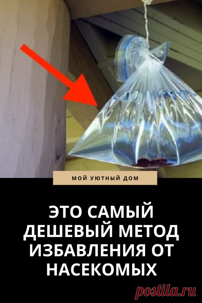 Метод как избавиться от разных насекомых