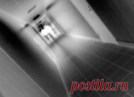 Жизни после смерти нашли доказательства