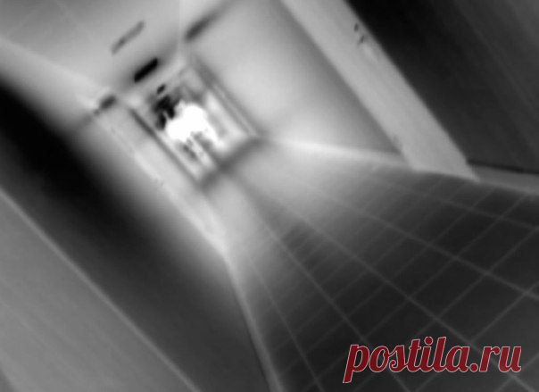 Жизни после смерти нашли доказательства