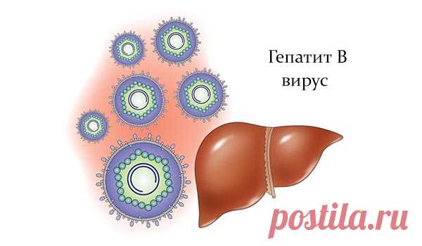 Предупрежден — значит, вооружен! Узнайте, что такое гепатит В, какие симптомы гепатита В можно обнаружить в самом раннем периоде инфицирования.